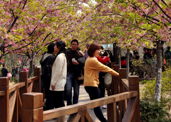 .17c嫩嫩草色视频保潔團隊顧村（cūn）公園遊玩